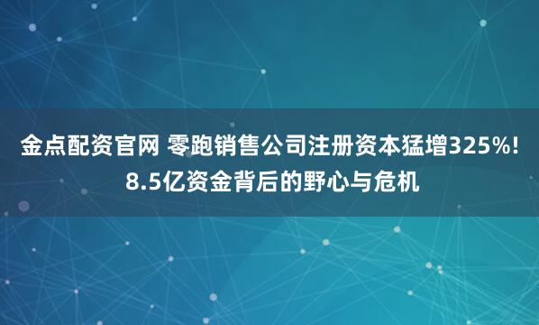 金点配资官网 零跑销售公司注册资本猛增325%! 8.5亿资金背后的野心与危机