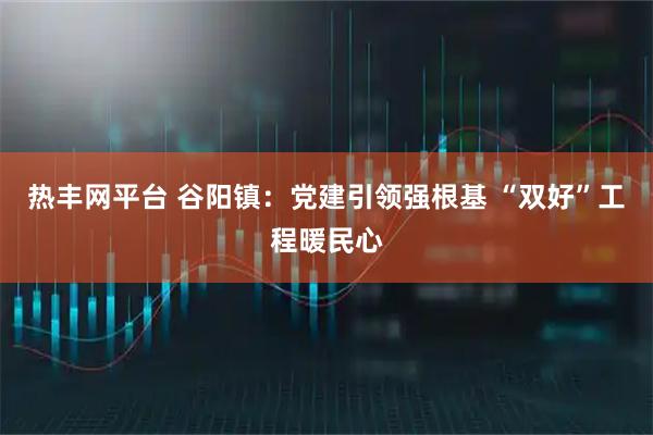 热丰网平台 谷阳镇：党建引领强根基 “双好”工程暖民心