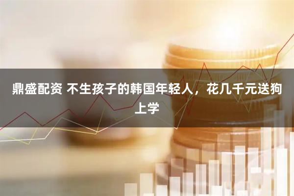 鼎盛配资 不生孩子的韩国年轻人，花几千元送狗上学