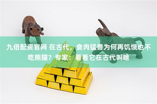 九倍配资官网 在古代，食肉猛兽为何再饥饿也不吃熊猫？专家：看看它在古代叫啥