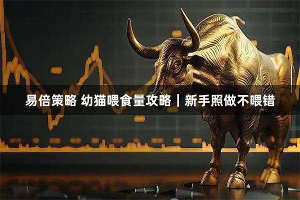 易倍策略 幼猫喂食量攻略｜新手照做不喂错