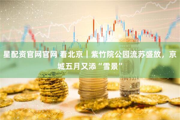 星配资官网官网 看北京｜紫竹院公园流苏盛放，京城五月又添“雪景”